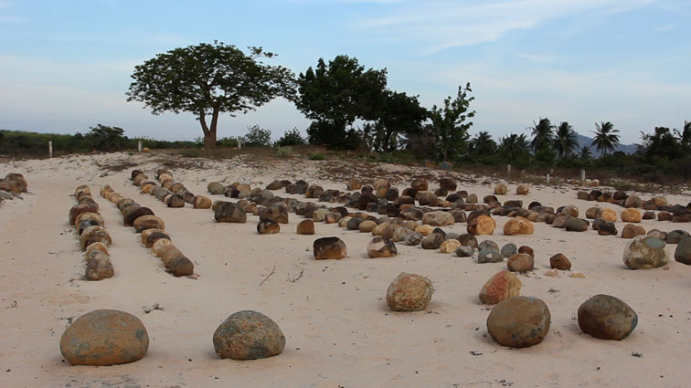 nguyentrinhthi