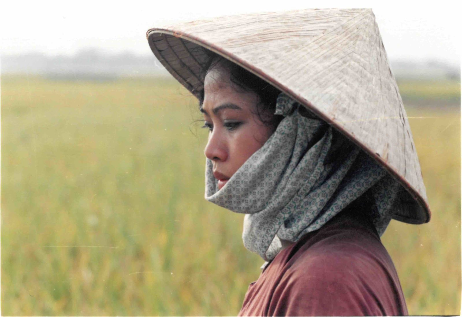 yda_anthologie_cinema_viet_fig_2.jpg Nostalgie de la campagne