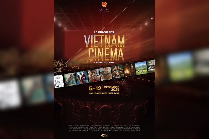 dienanh_vn_affiche.jpg