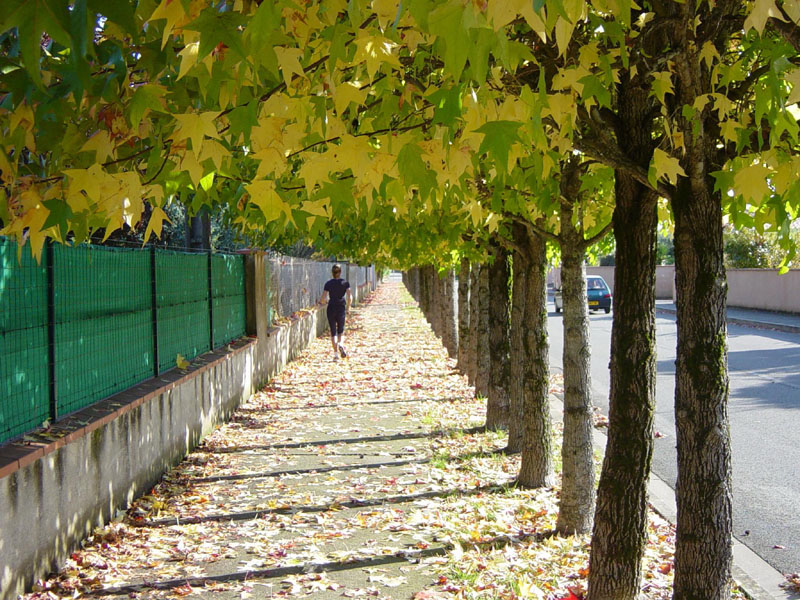 Chiều ngoại ô Toulouse