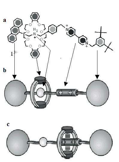 hinh-12