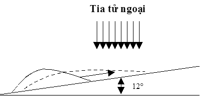 hinh-15