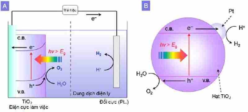 hinh-1