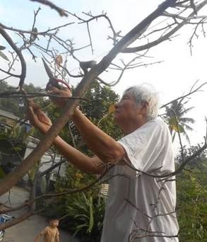 Nhà thơ Chu Sơn: Trảy lá mai chờ Xuân image006.jpg