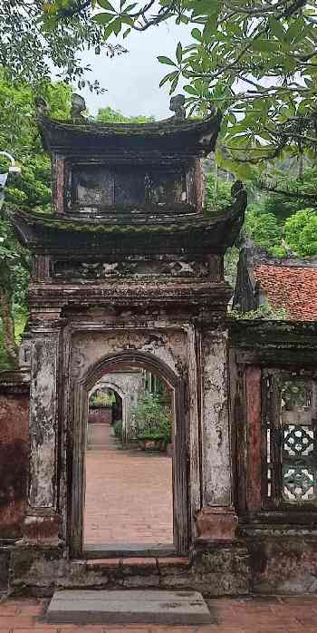 Cổ Ngư -10-25-NLQ-H2