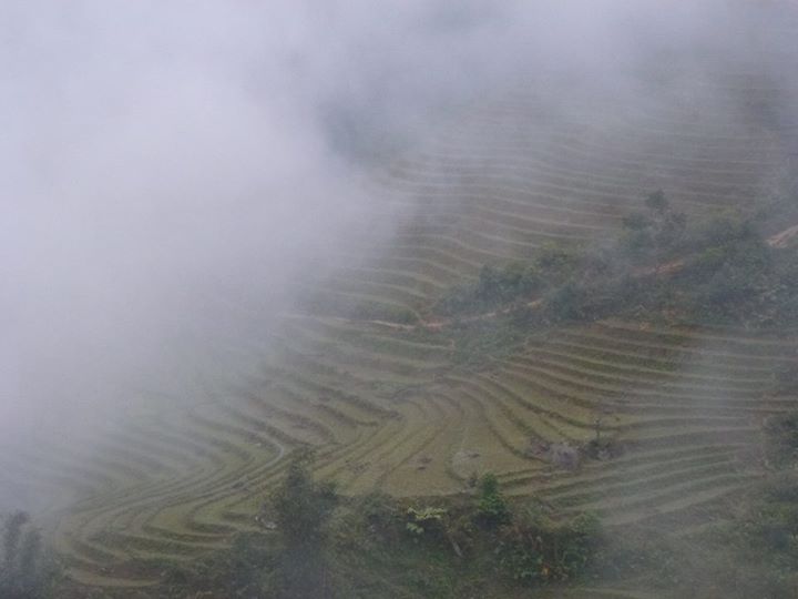 sapa